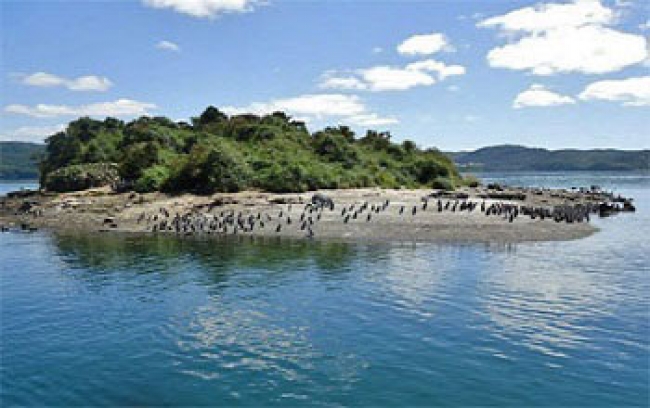 CRUCERO SKORPIOS Y PUERTO VARAS