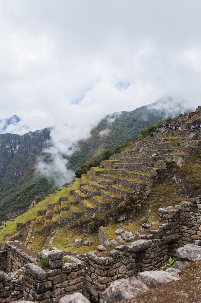 CAMINOS DEL INCA EXPRESS - SENDEROS SAGRADOS DEL INCA